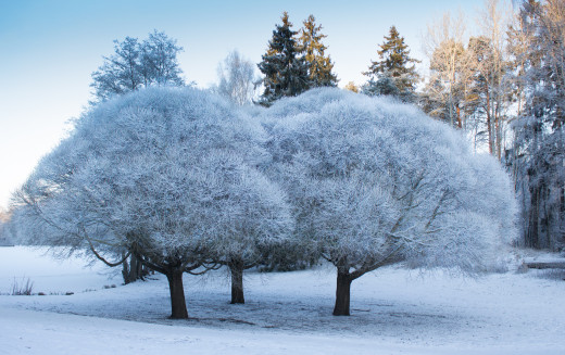 1002308 (a): :2048x1285